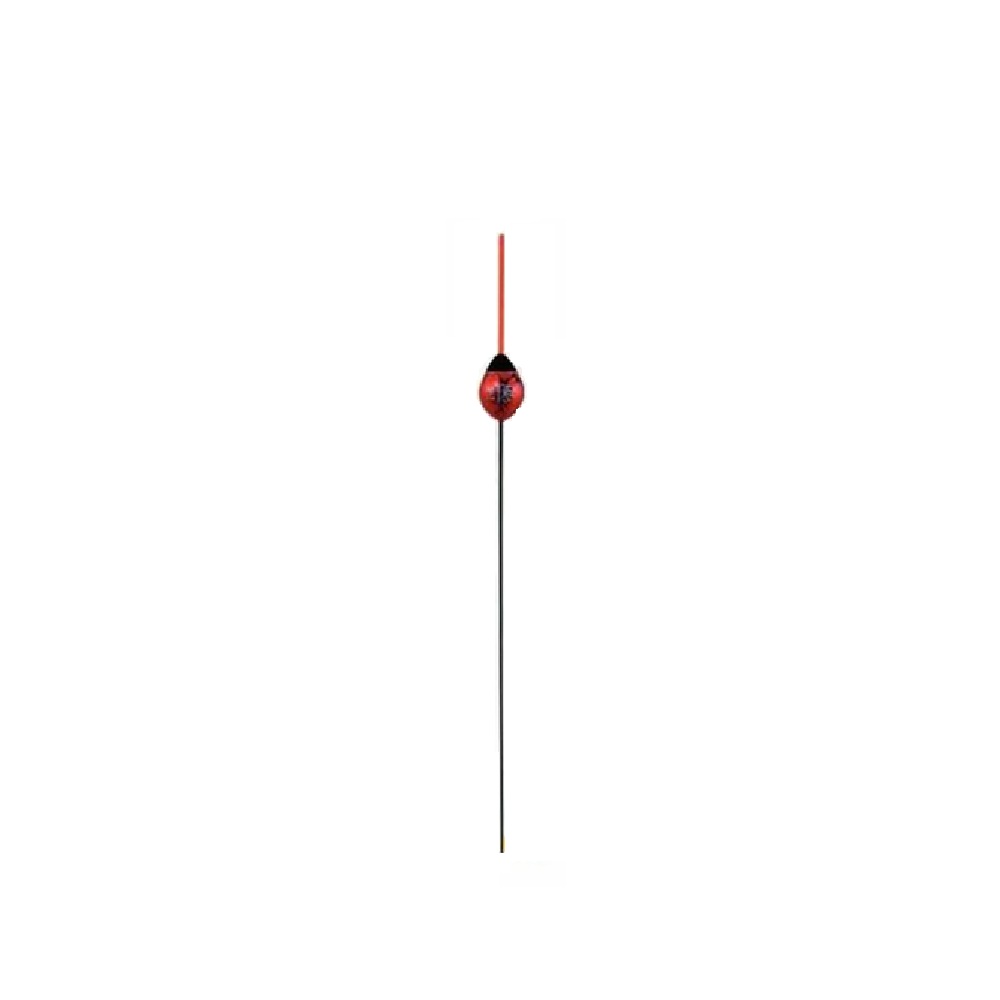 Redvo